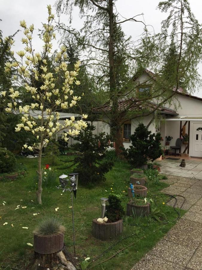 Kleines Haus Im Oderbruch Apartment Neutrebbin Bagian luar foto