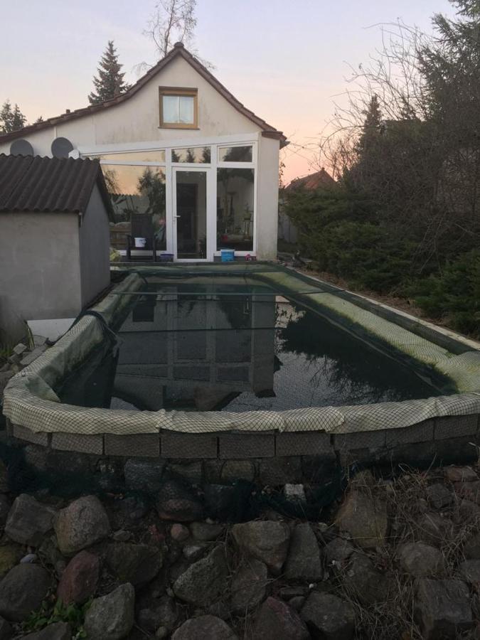 Kleines Haus Im Oderbruch Apartment Neutrebbin Bagian luar foto